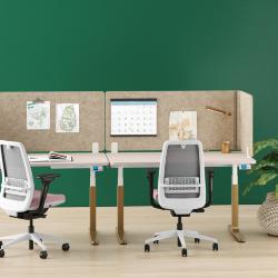 AMQ Personality Plus Launches