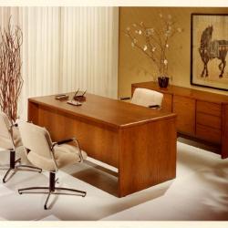 Designs in Wood Introduced