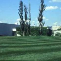 Steelcase Canada, Ltd. Expands